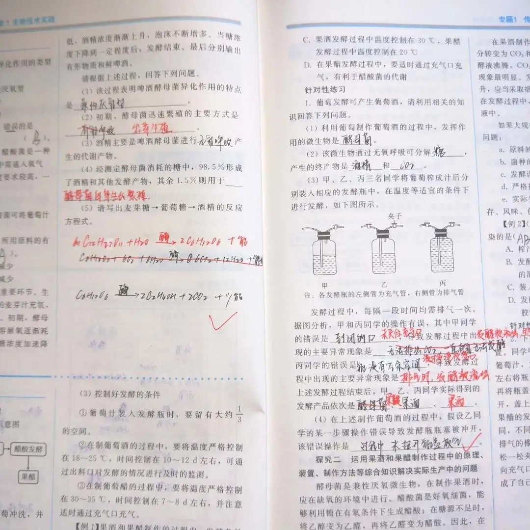 感恩7.webp.jpg