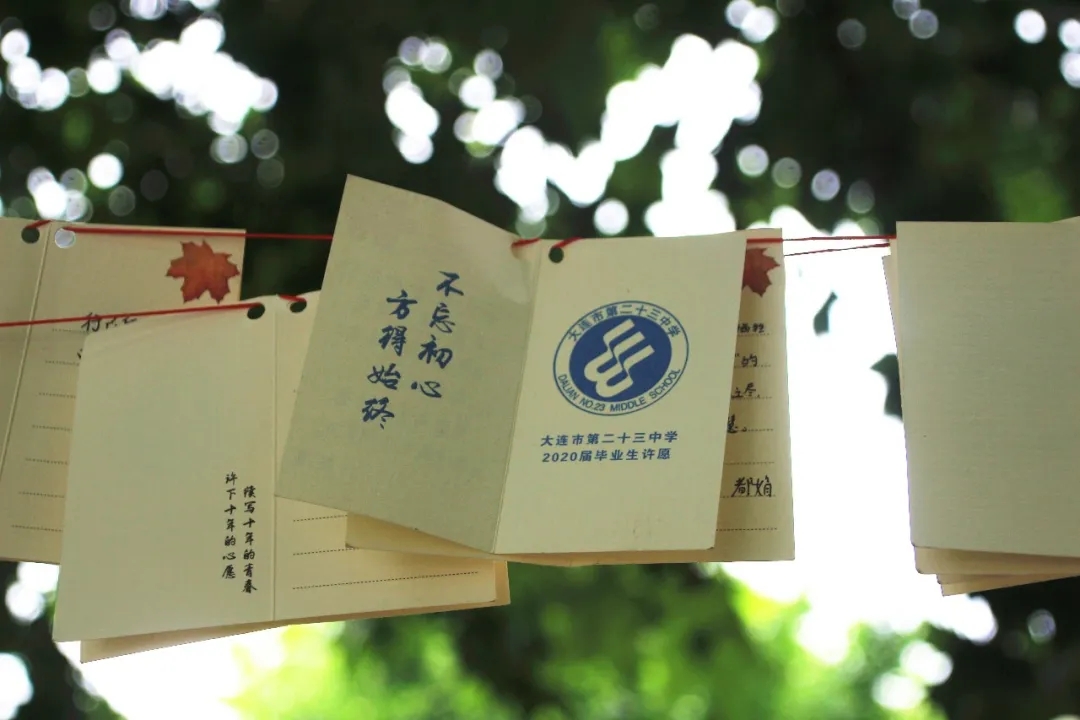 凤凰栖梧今始飞2.webp.jpg