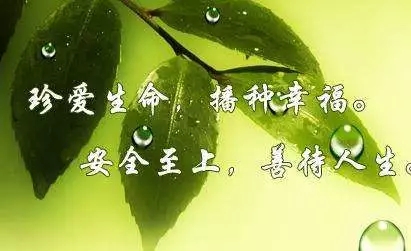 增强安全意识 、绚丽精彩人生5.webp.jpg