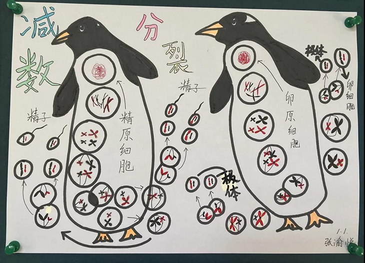 微信图片_20210526095103.jpg