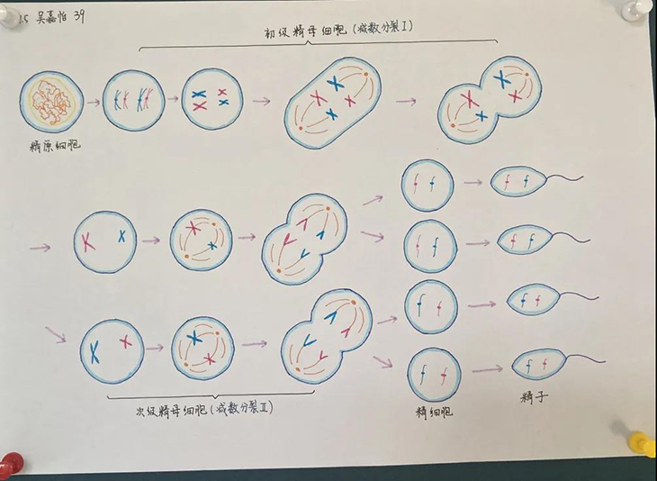 微信图片_20210526095109.jpg