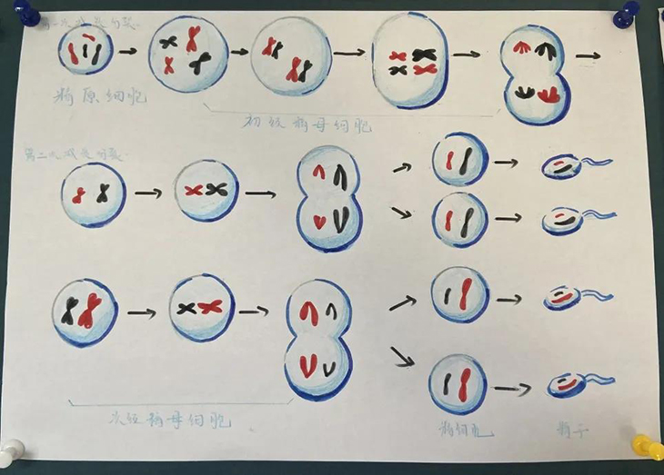 微信图片_20210526095112.jpg