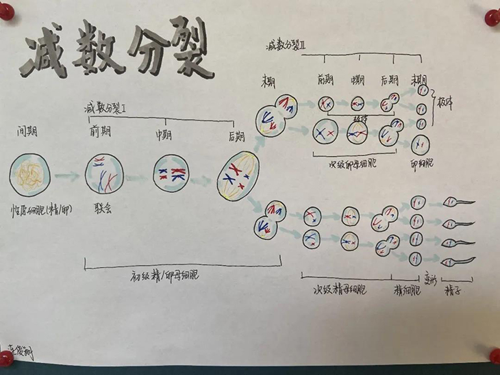 微信图片_20210526095126.jpg