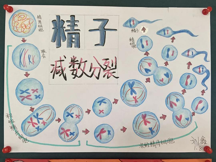 微信图片_20210526095137.jpg