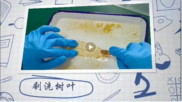 QQ截图20231023100827.png