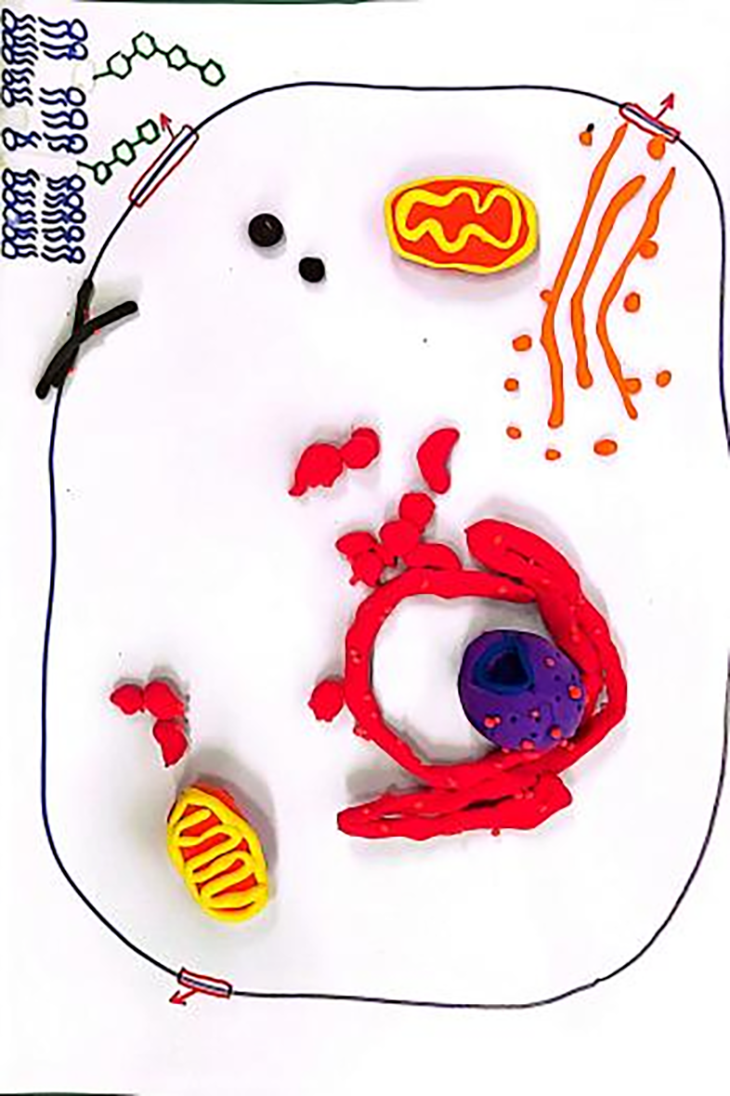 640 (4).png
