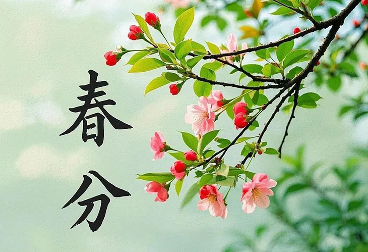微信图片_20250325092859.jpg