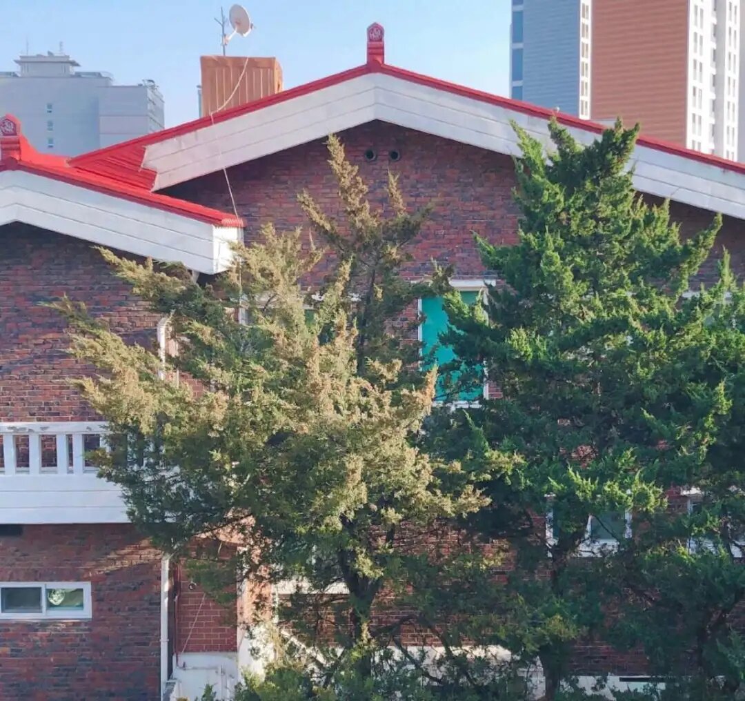 【战疫教学之学子心声】步履暂缓,成长在春天4.webp.jpg